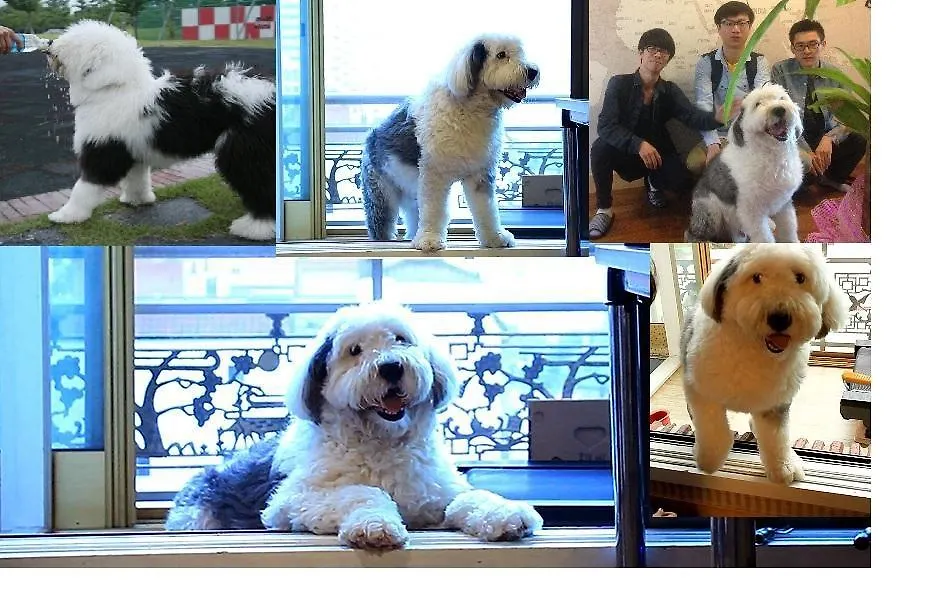 ** Pensionat Mipo Guesthouse Busan Sydkorea